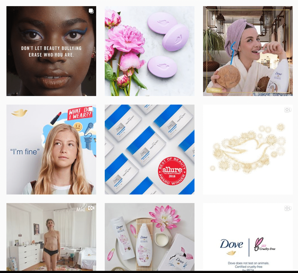 dove instagram feed