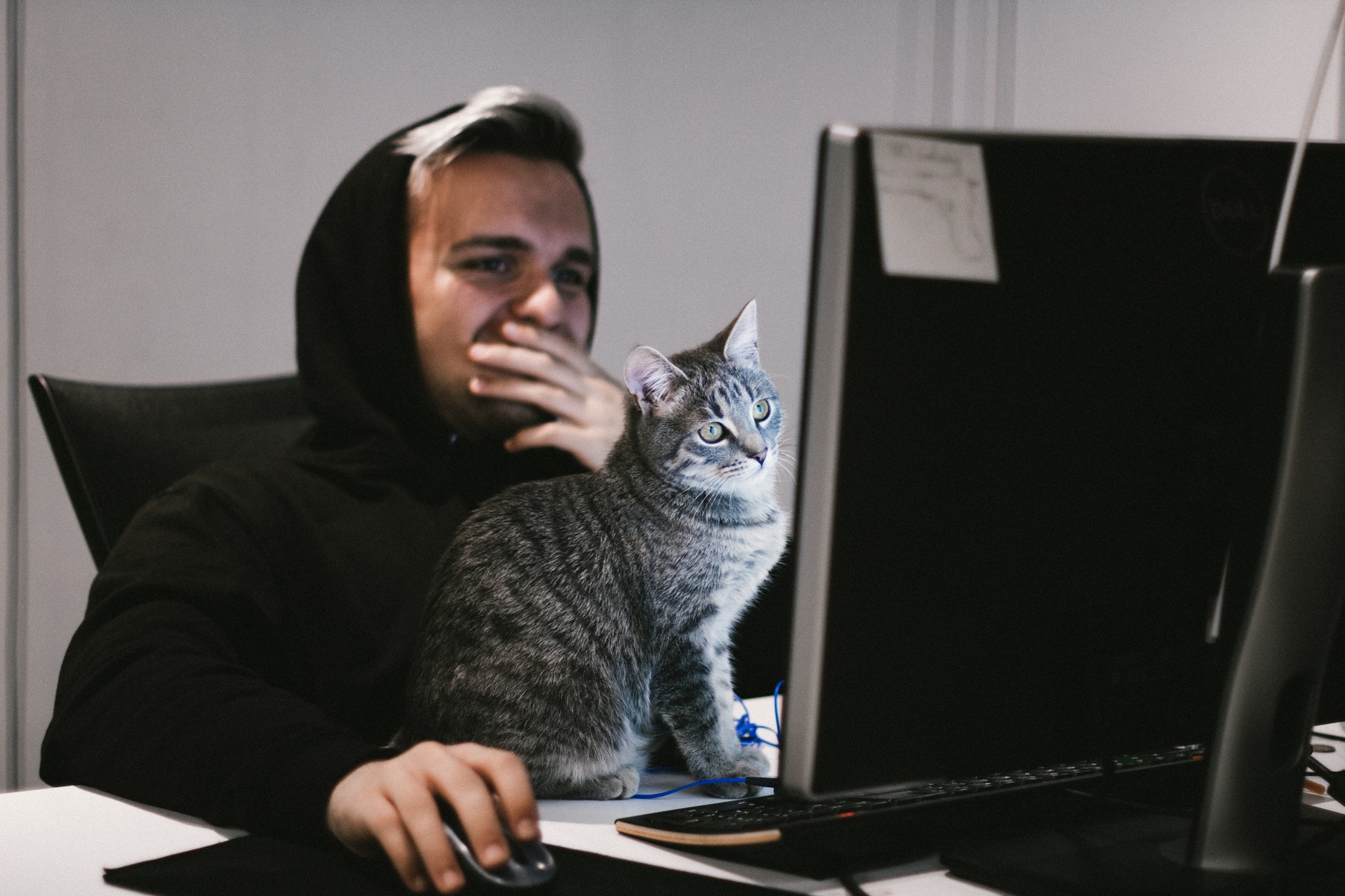 Digital marketing skills 2019 2