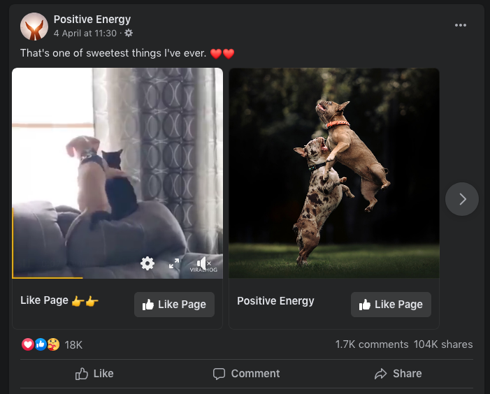 Facebook post video example